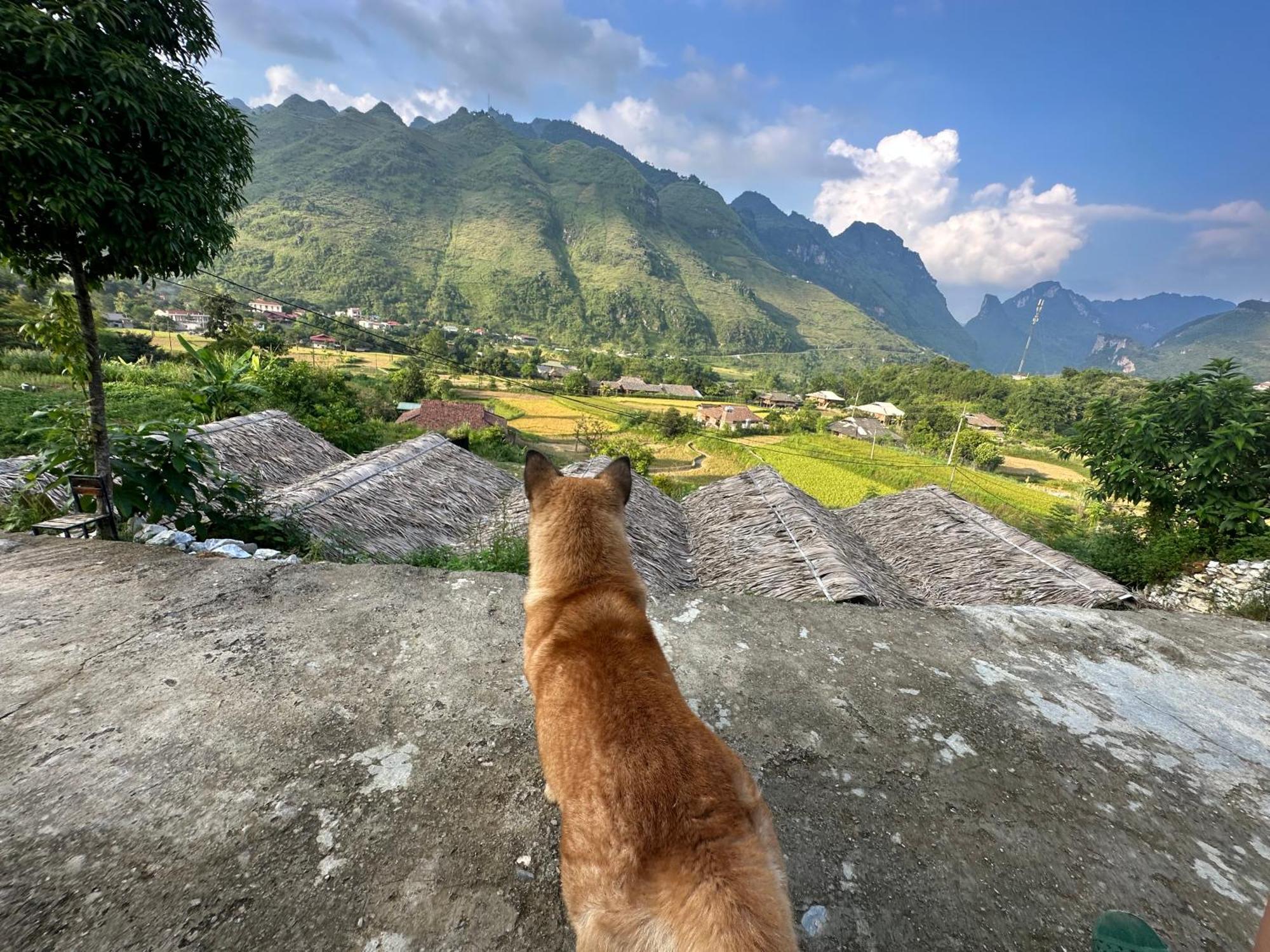 Du Gia Cozy Homestay & Tours Làng Cac Exteriér fotografie